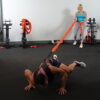 Stroops Athlete doing Resisted Spiderman Planks with Shoulder Harness